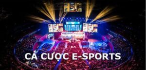 Cá cược Esport live